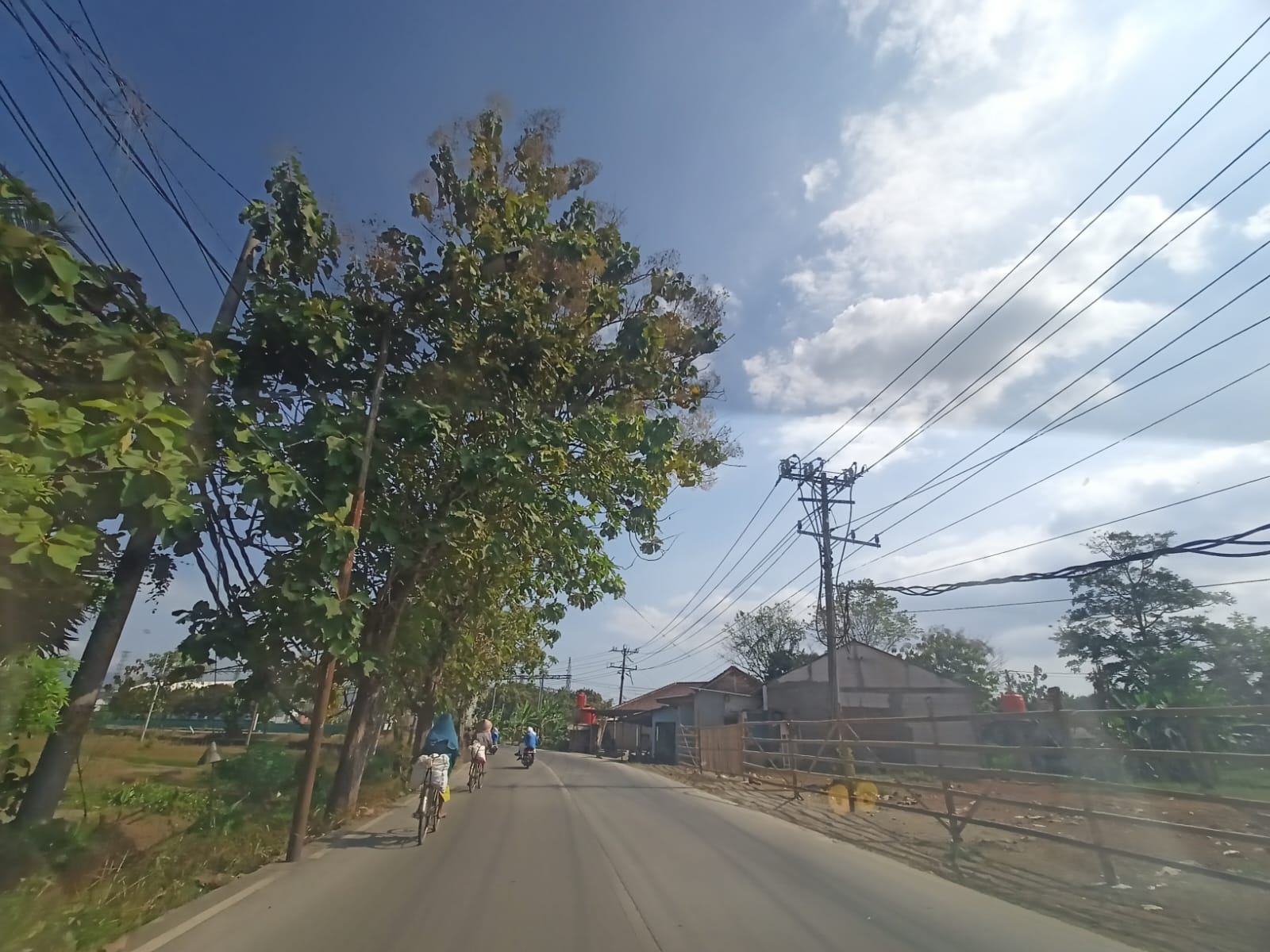 Rumah Tunggal Masih Diizinkan Berada di Lahan Pertanian Dilindungi