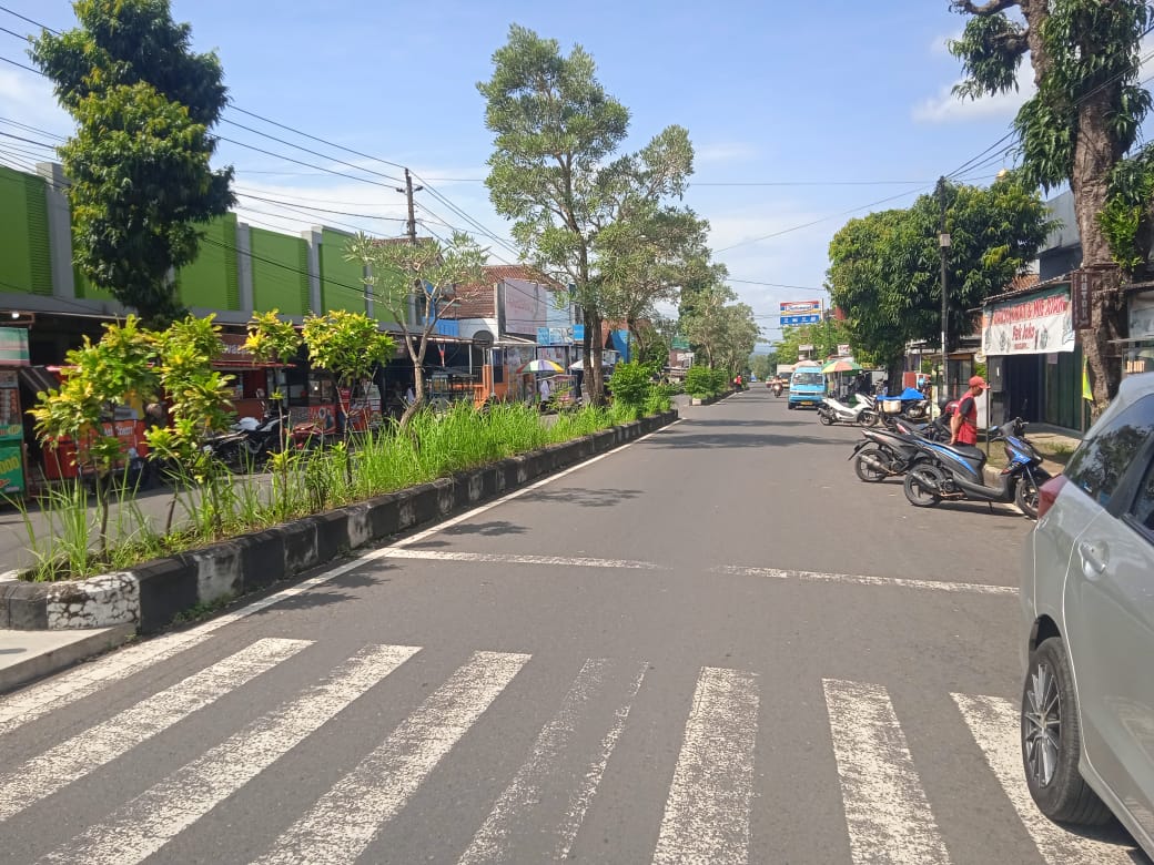 Dikeluhkan, Alang- Alang Liar Hiasi Median Jalan Bobotsari