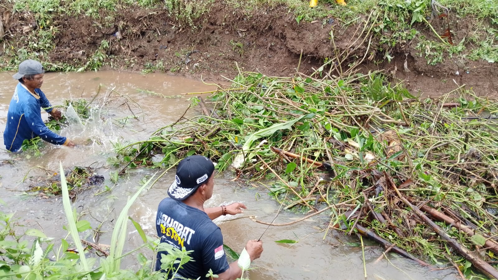 Arus Tersendat, Sawah di Prembun Banyumas Terendam,  40 Hektare Lahan Pertanian Terdampak