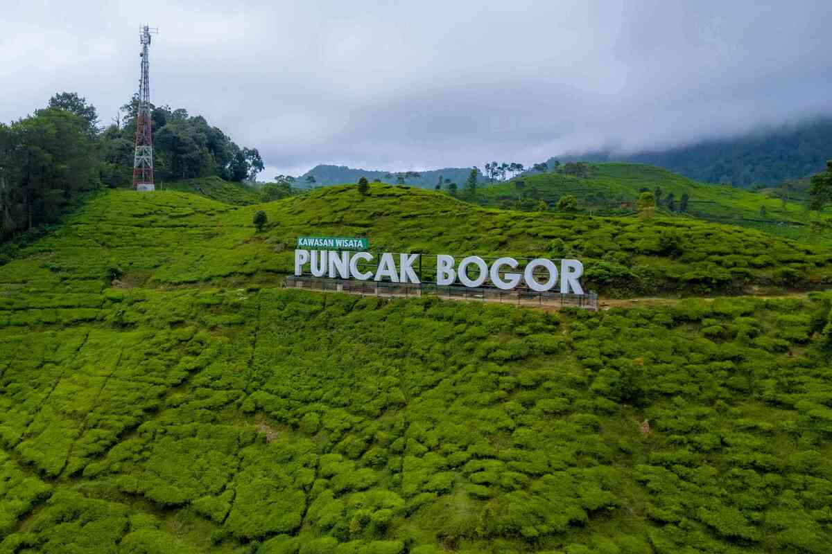 Rekomendasi Penginapan di Puncak Bogor dengan View yang Memanjakan Mata