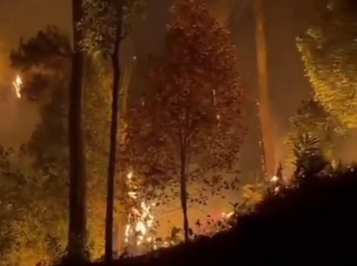BREAKING! Hutan Lowo Ijo di Desa Langkap Purbalingga Terbakar