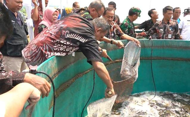 Desa Dagan Sukses Budidayakan Ikan Nila dengan Sistem Bioflok