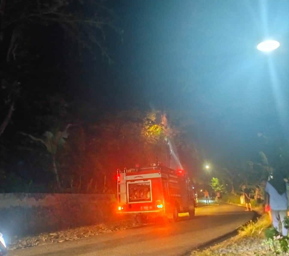 Kebakaran Pohon di Karanggedang, Diduga dari Sampah