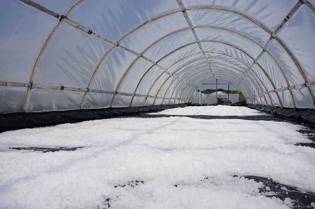 Warga Harap Kampung Garam Tanggulangin Bangkit Kembali