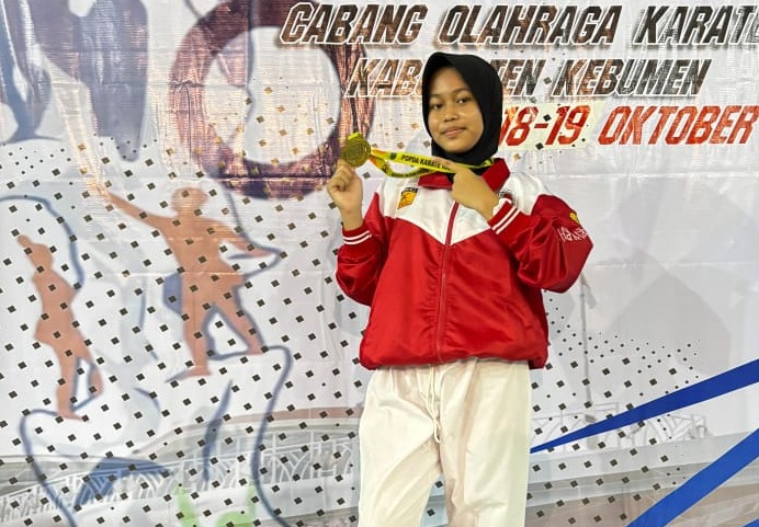 Wakili Kabupaten di Tingkat Provinsi