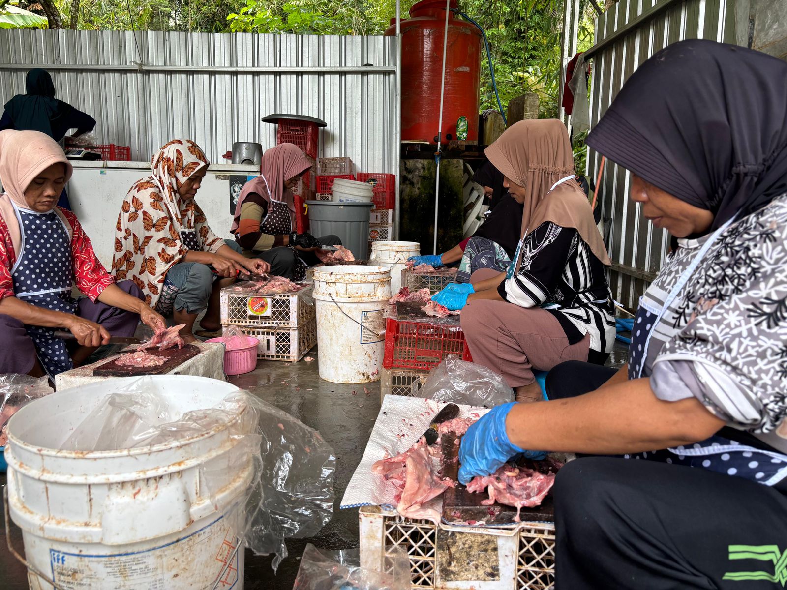 Limbah Kepala Ayam Jadi Berkah Penggerak Ekonomi BUMDes Gunungjati