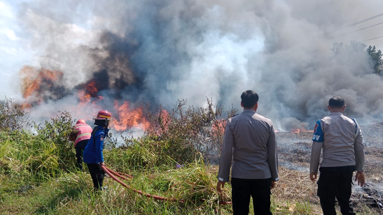 Akibat Bakaran Sampah, Lahan di Kecamatan Maos Cilacap Terbakar 