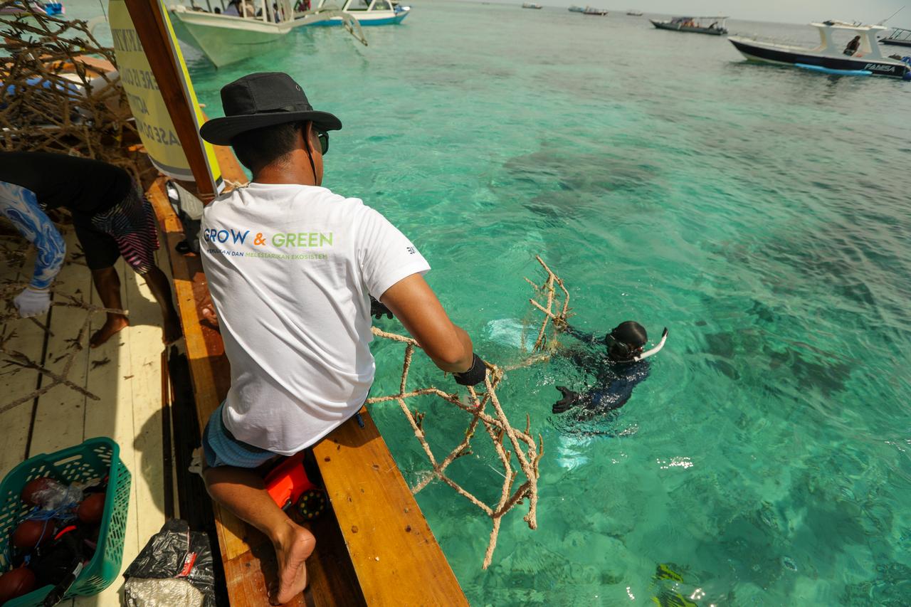 BRI Menanam “Grow & Green” Transplantasi Terumbu Karang, Jadi Ujung Tombak Pelestarian Ekosistem Laut di NTB