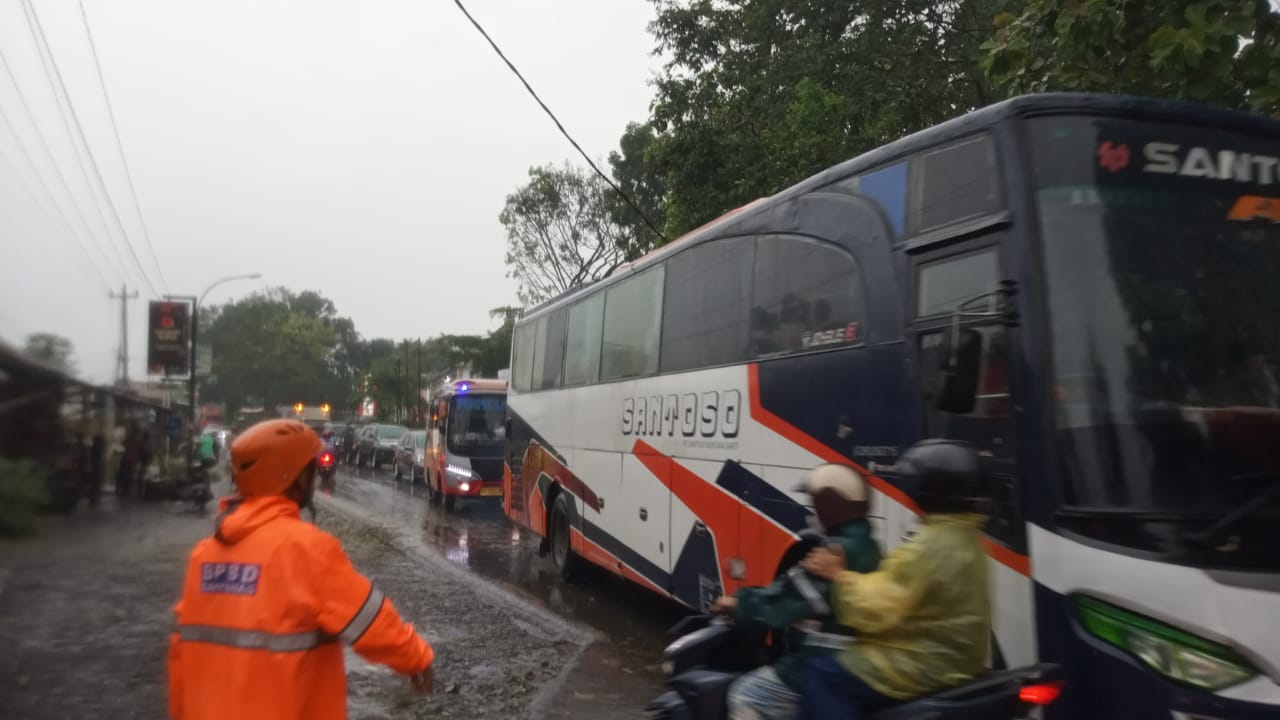 Hujan Lebat, Dua Pohon Tumbang Tutup Ruas Jalan Provinsi Purwokerto - Banyumas di Kaliori