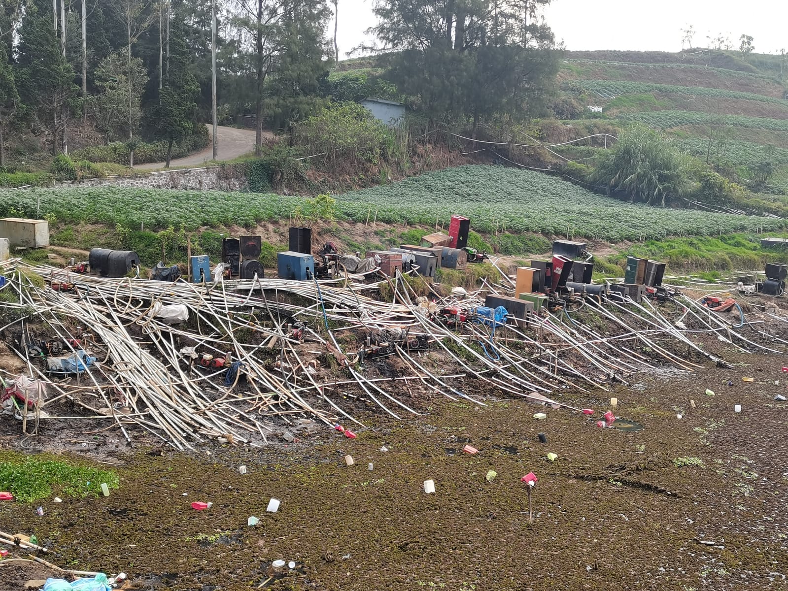 Cegah Tanaman Kentang Agar Tidak Mati, Ratusan Petani di Dieng Banjarnegara Sedot Air Telaga