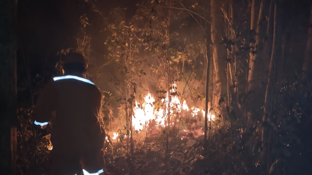 Banyumas Catat 21 Karhutla Selama Kemarau, Dua Kebakaran Terbaru Terjadi Di Baturraden Dan Rawalo