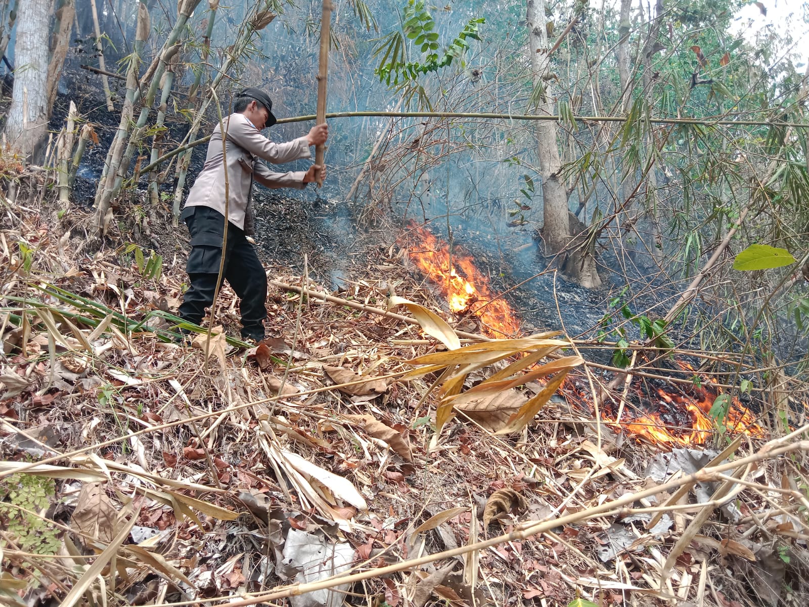 Lahan Seluas 1 Hektare Dusun Bantarpanjang, Cilacap Terbakar