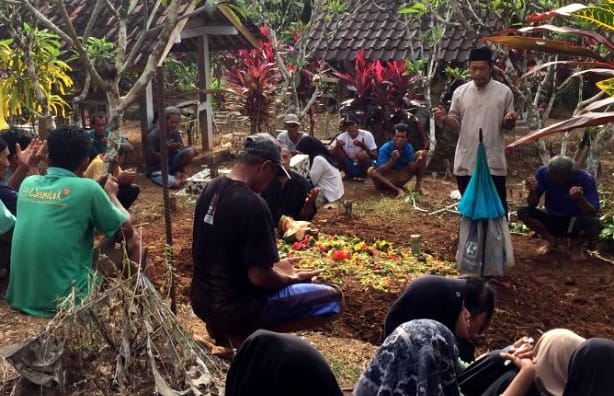 Nenek di Banjarnegara Meninggal Setelah Diserang Tawon Vespa
