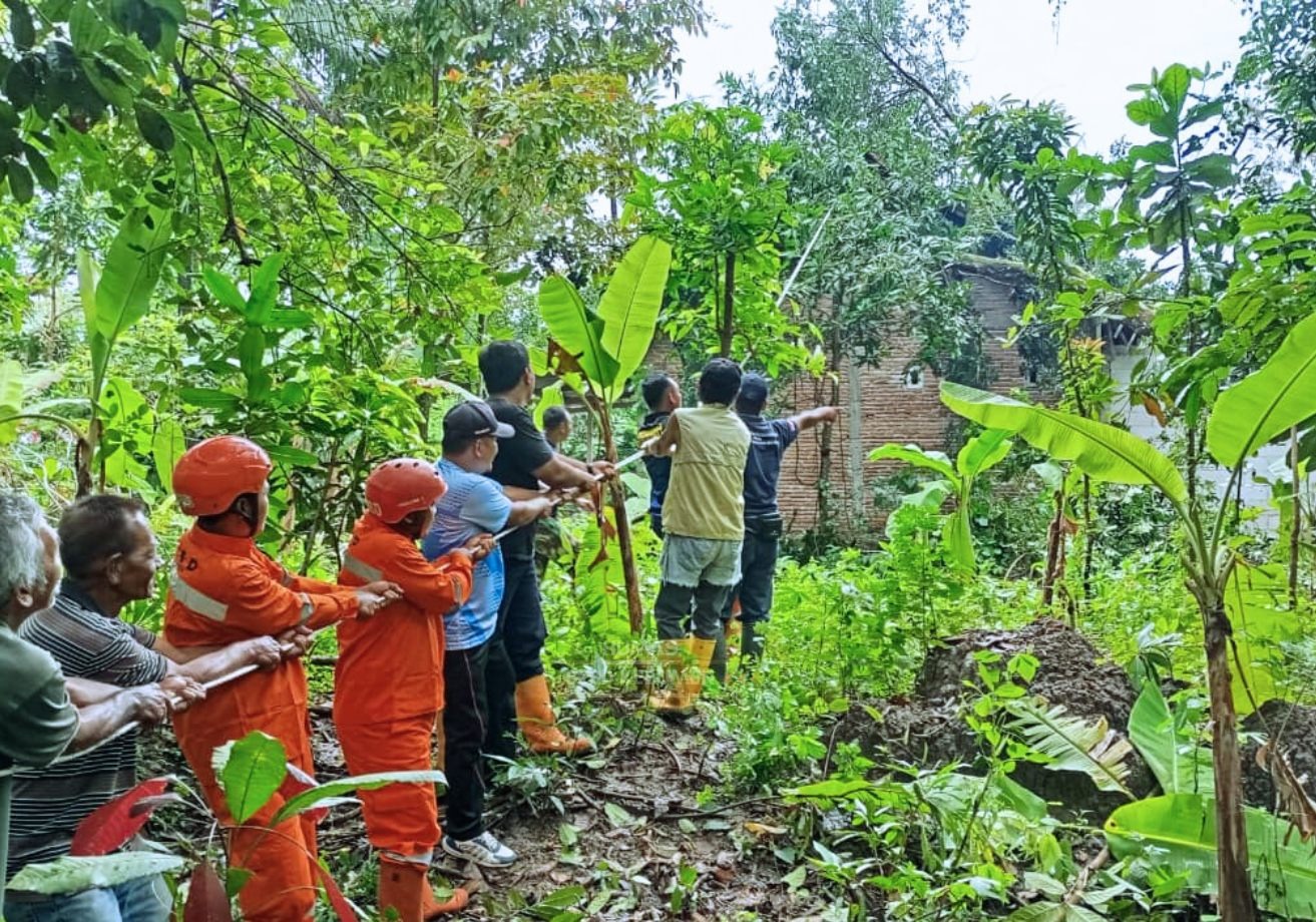 Pohon Tumbang Timpa Rumah Warga Adimulyo