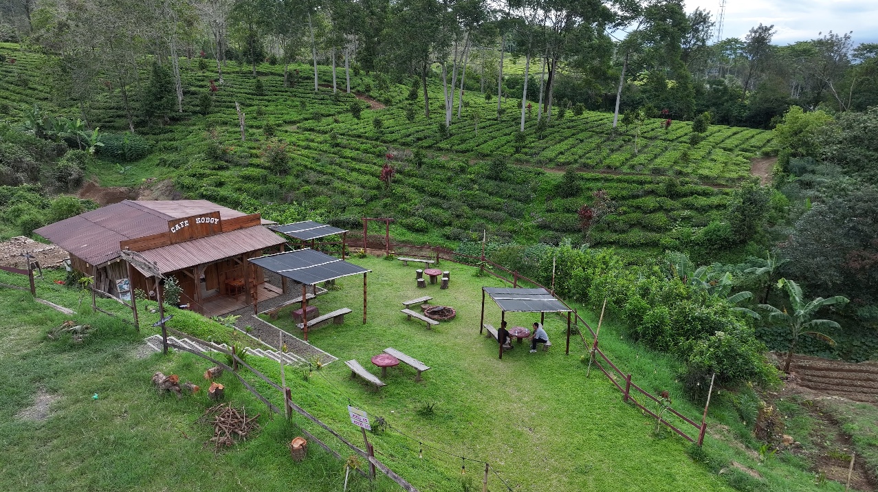 Kampung Koboi Tugu Selatan, Wujud Transformasi Desa Berbasis Potensi Lokal dalam Program Desa BRILiaN