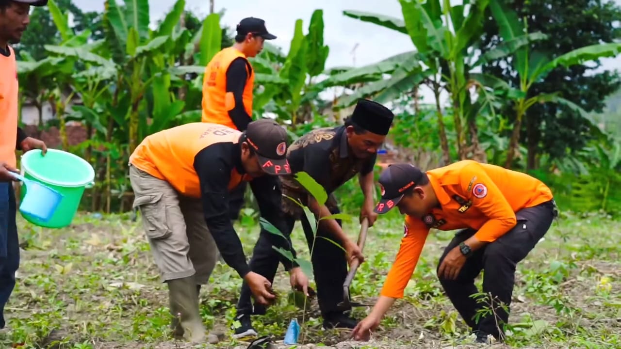 Hadang Sedimentasi Bendungan Mrica, Ratusan Ribu Bibit Aren Disiapkan Rehabilitasi Hulu Sungai Serayu