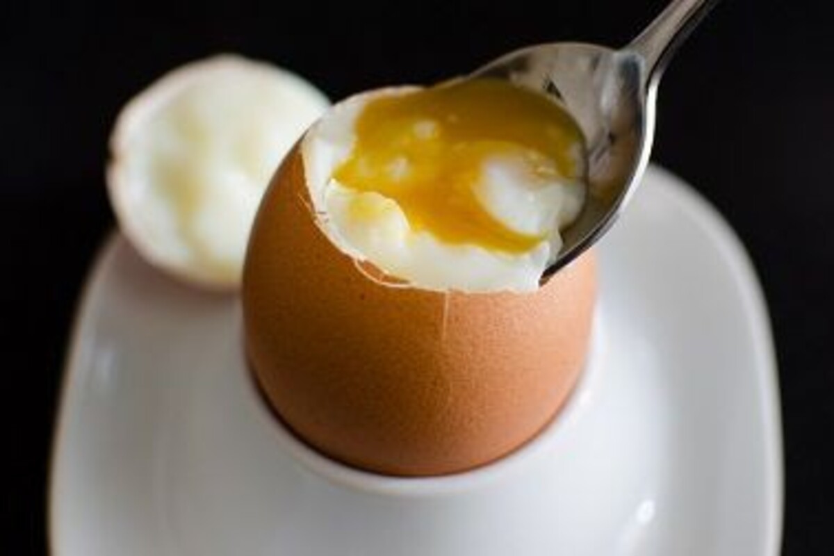Inilah 5 Alasan Bahaya Konsumsi Telur Setengah Matang Bagi Tubuh
