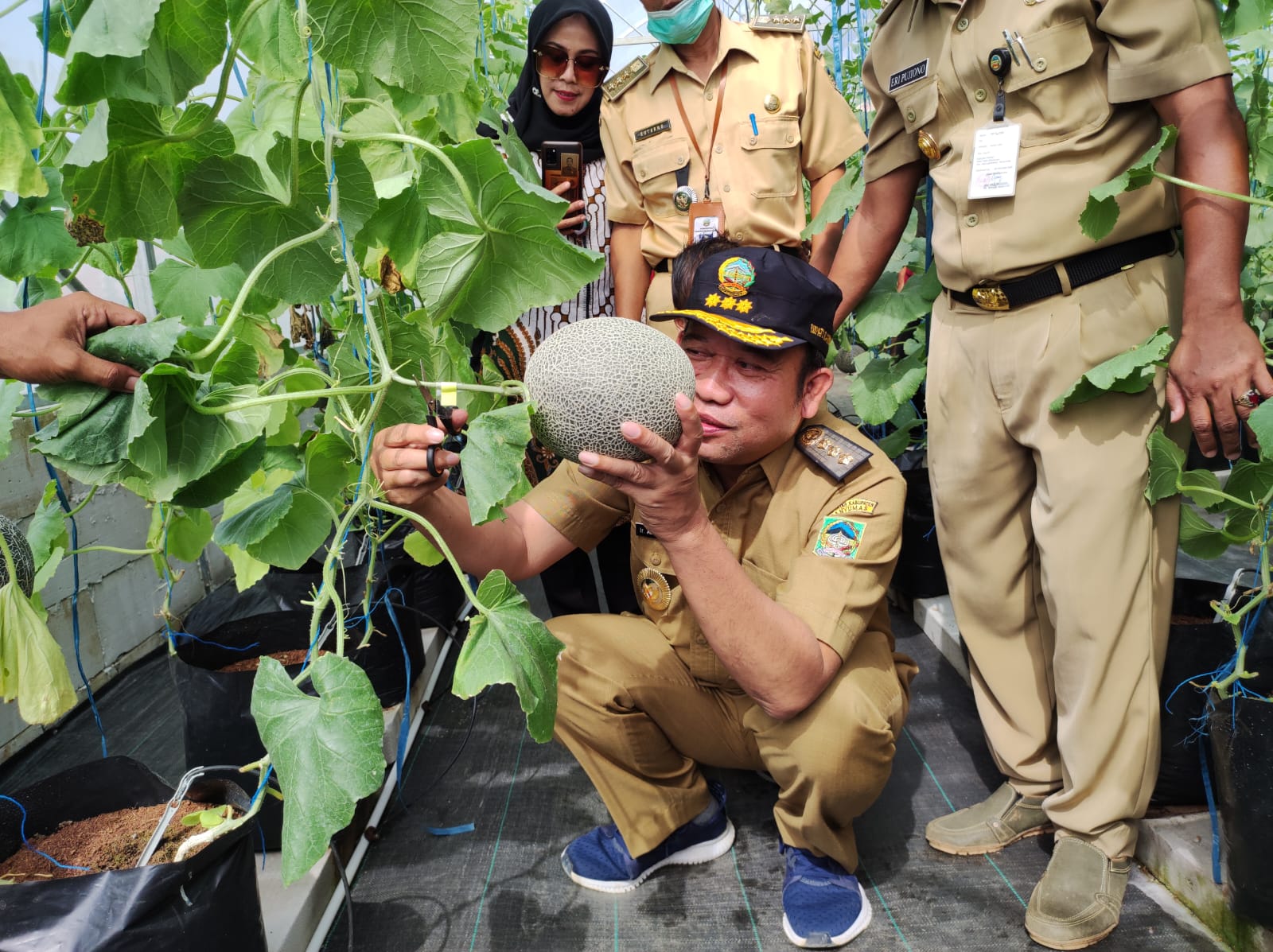 Panen Melon di Kebocoran, Bupati : Ini Jangan Hanya di Awal Saja