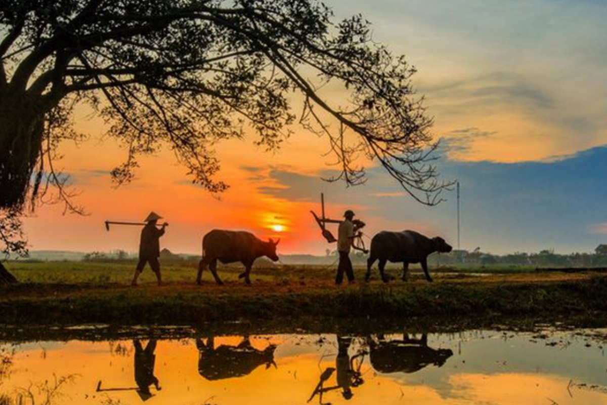 Gebyak Cah Angon, Tradisi Masyarakat Kebumen dalam Merayakan Maulid Nabi