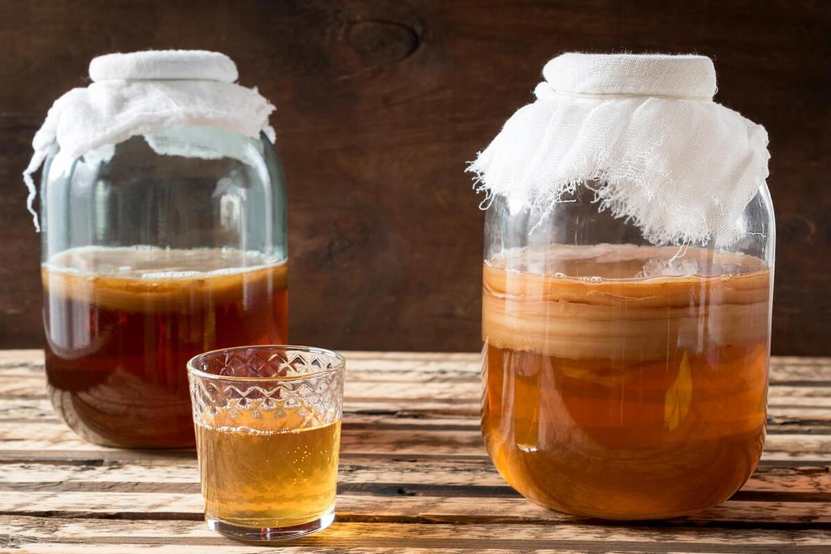 4 Keuntungan Mengkonsumsi Teh Kombucha Bagi Kesehatan