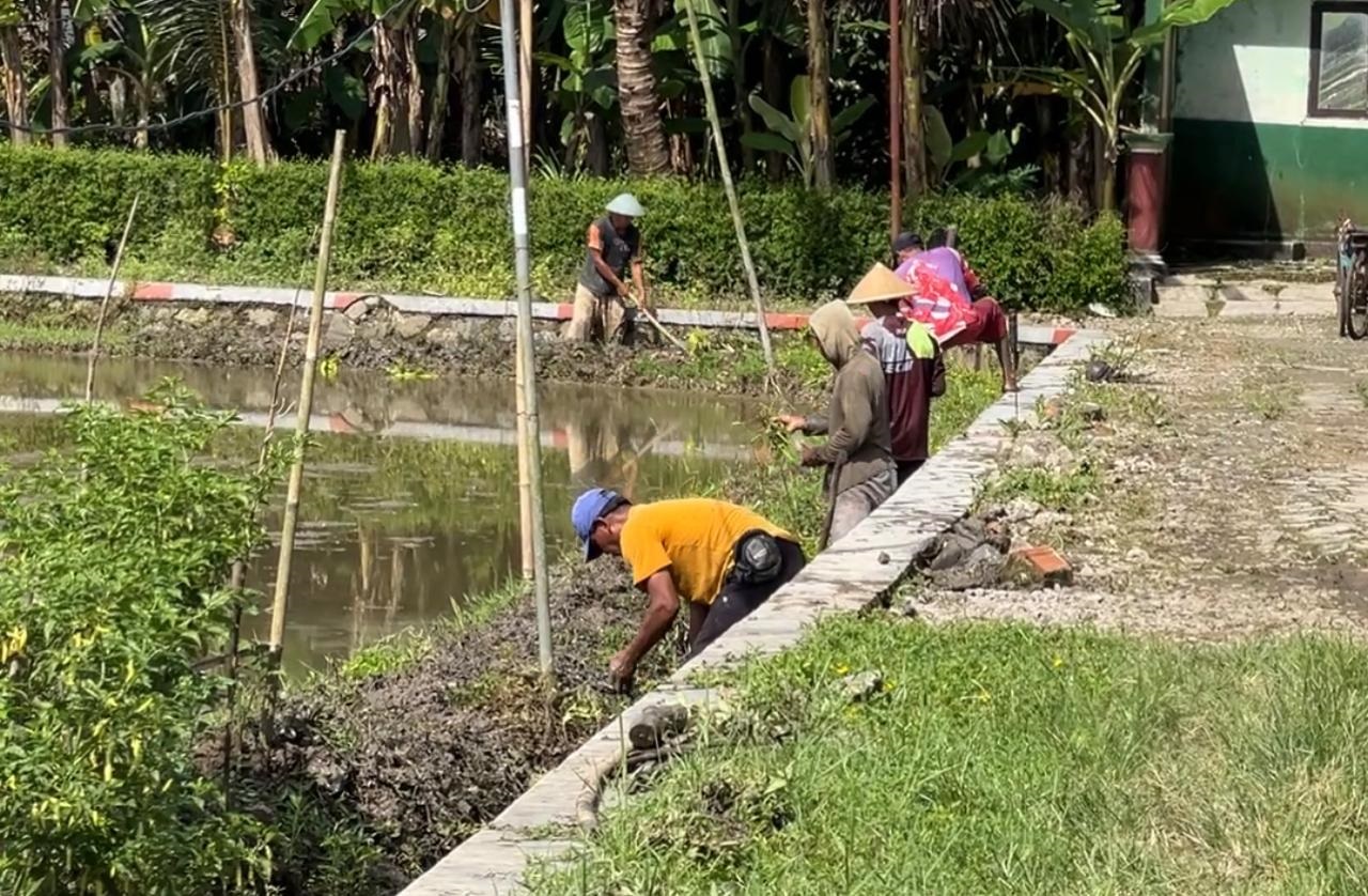 Sambut Masa Tanam 1, Poktan Margo Raharjo Normalisasi Irigasi
