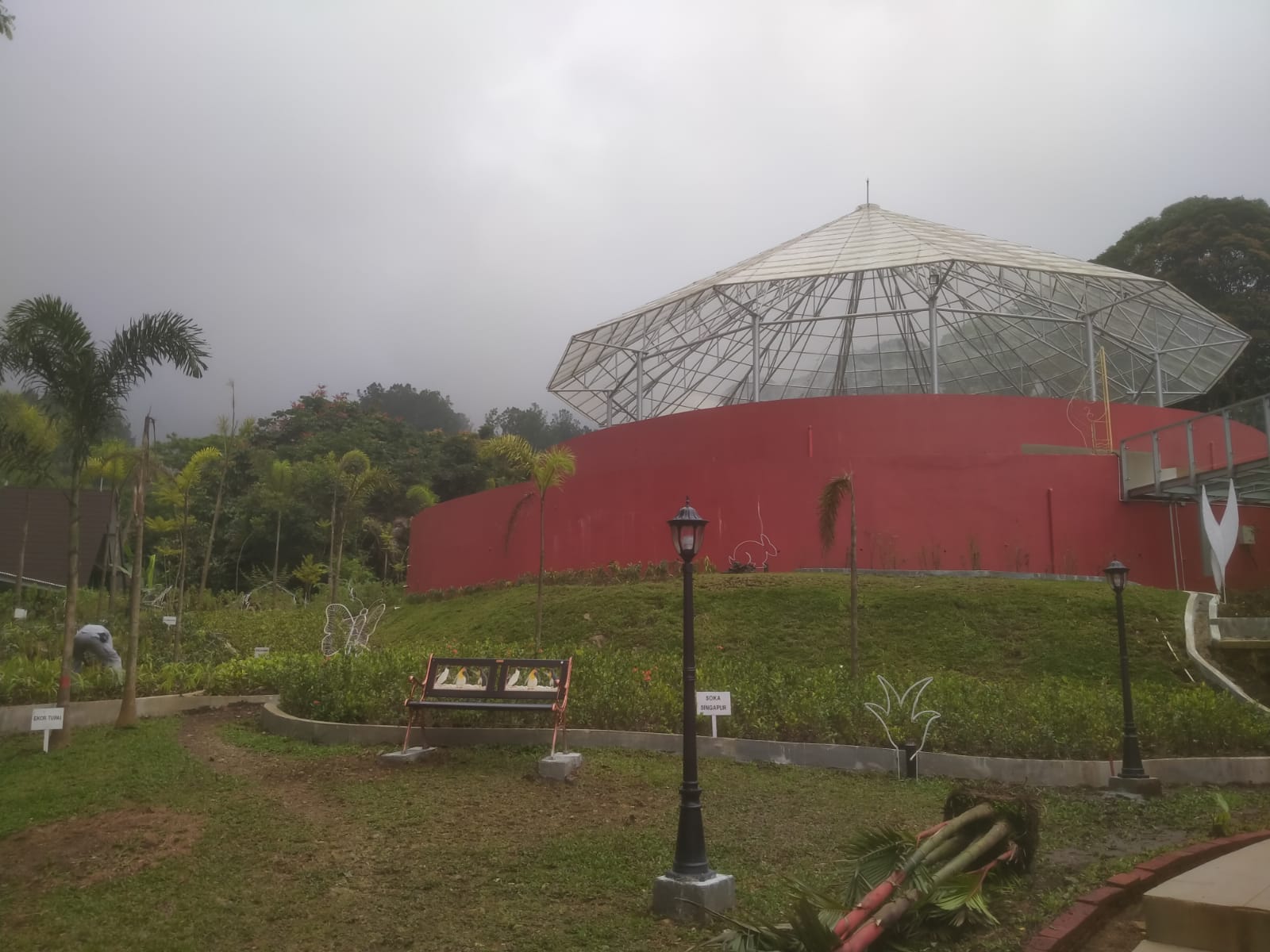 Green House Anggrek dan Bromelia Segera Dipercantik