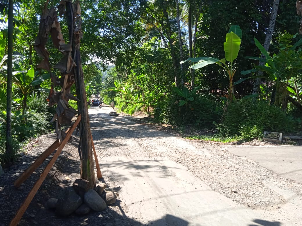 Ratusan Meter Ruas Jalan Kembaran Wetan-Slinga-Desa Arenan Rusak Parah