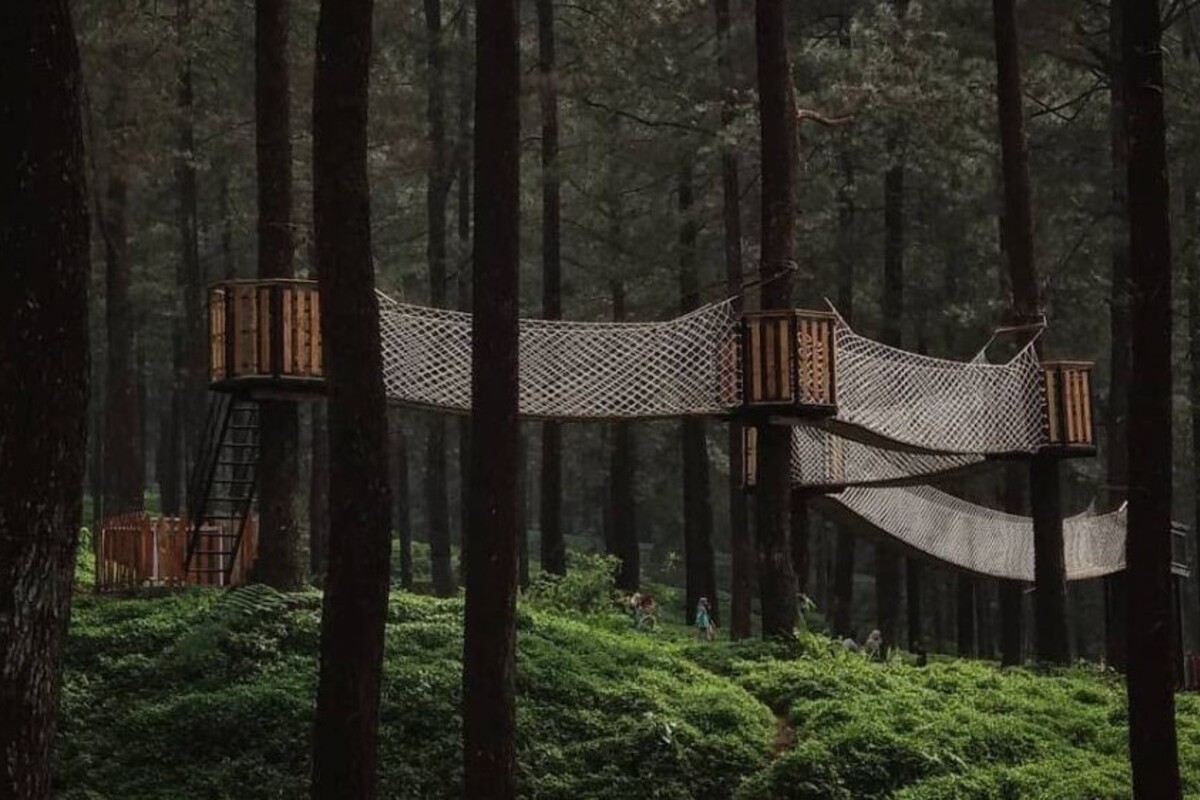 Hutan Pinus Limpakuwus Baturraden, Bisa untuk Camping