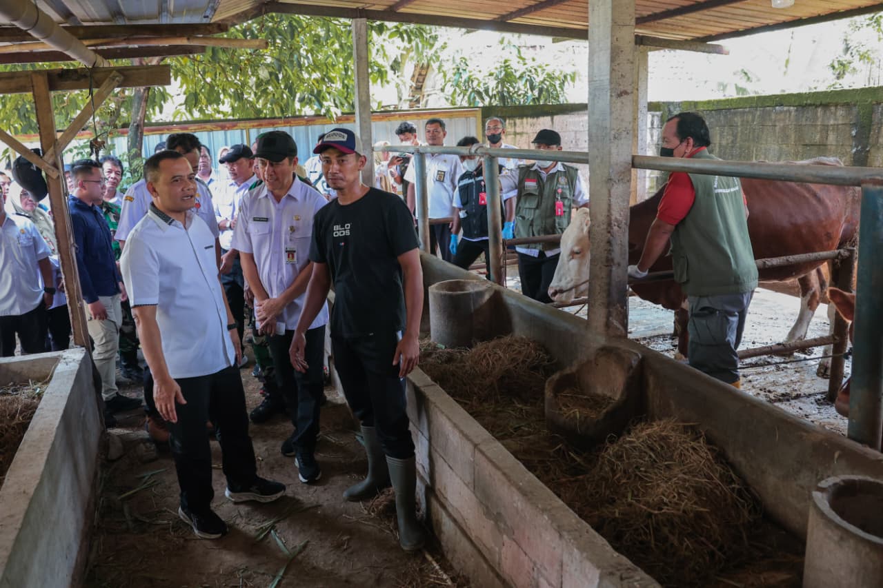 Jelang Iduladha, Ahmad Luthfi Minta Layanan Kesehatan Hewan Keliling Diintensifkan