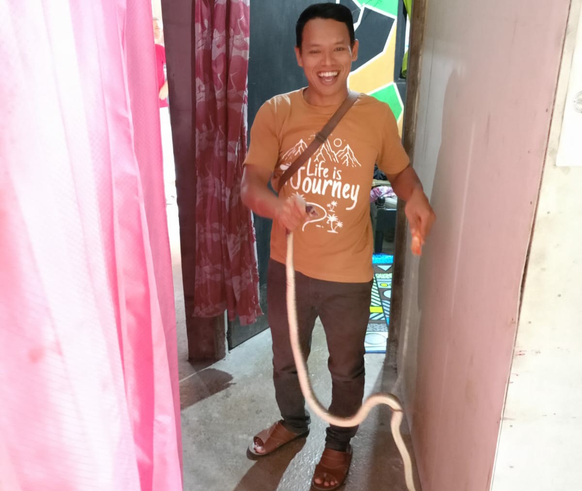 Ular Sembunyi di Kamar, Warga Sudagaran Ketakutan 