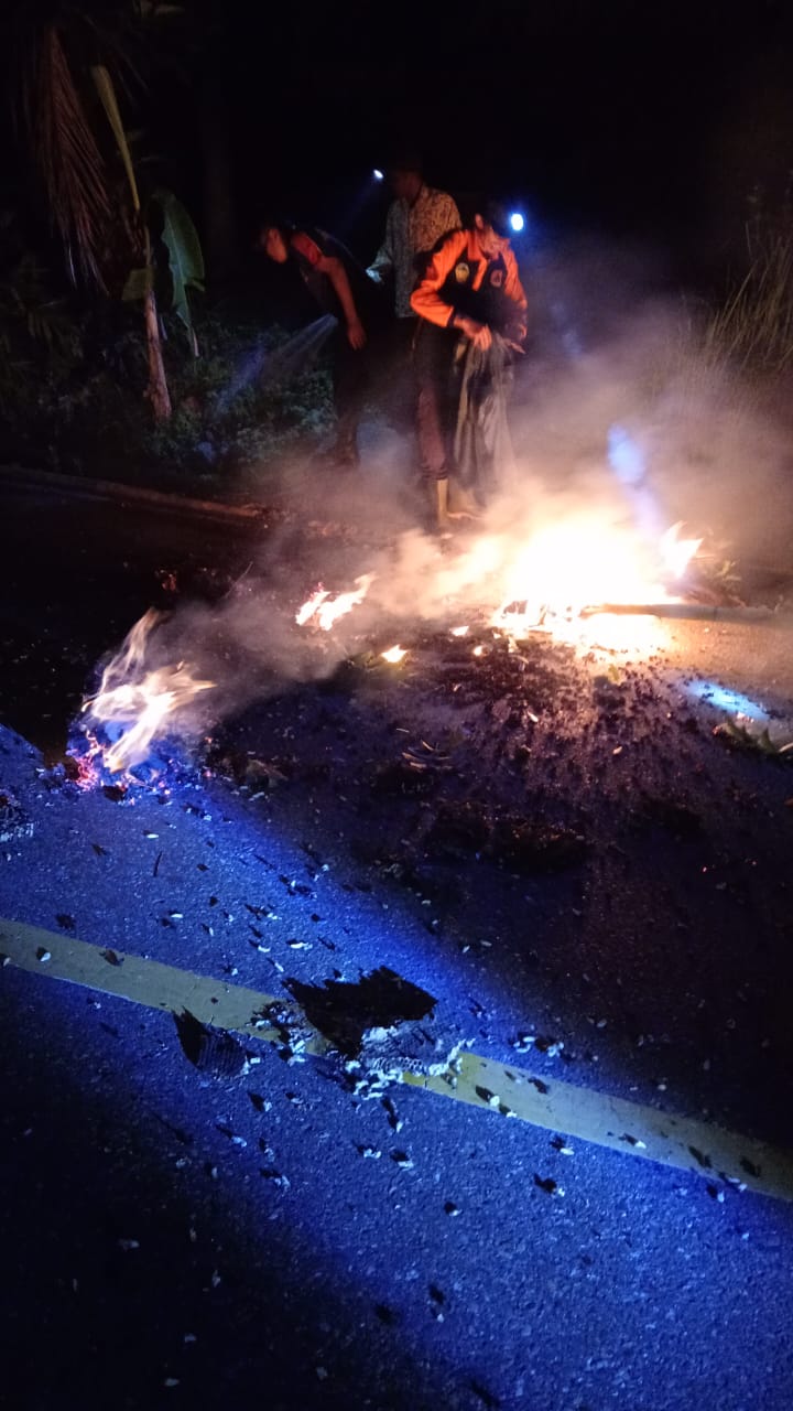 Sarang Tawon Jatuh ke Jalan Raya, Tawon Bubar Sengat Warga