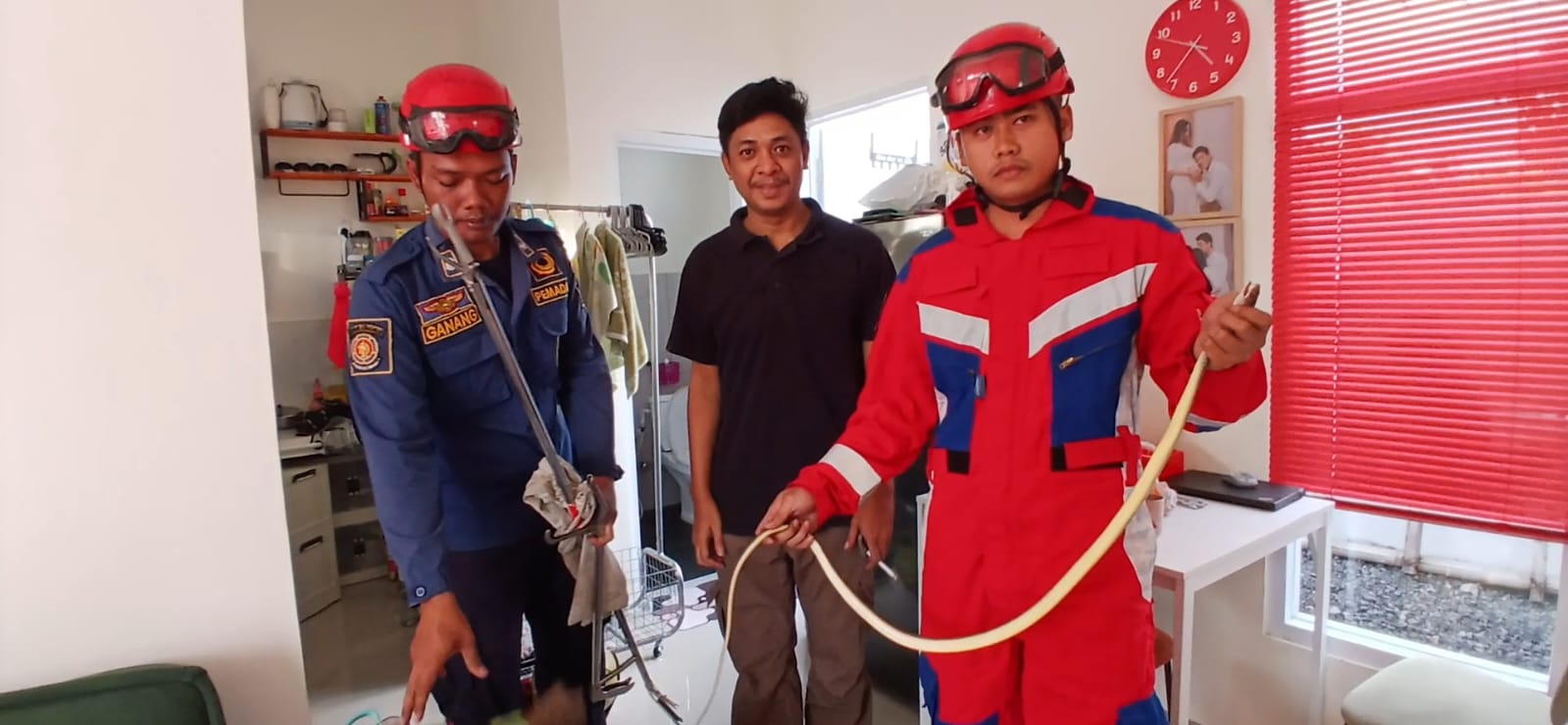 Ular Sawah Bikin Geger Warga Perumahan di Babakan