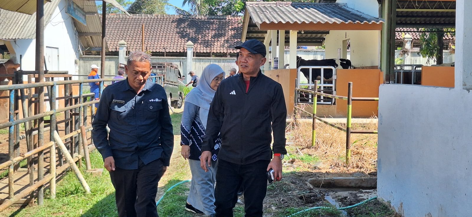 Sumanto Dukung Posisi Jateng jadi Penyangga Produksi Ternak Nasional