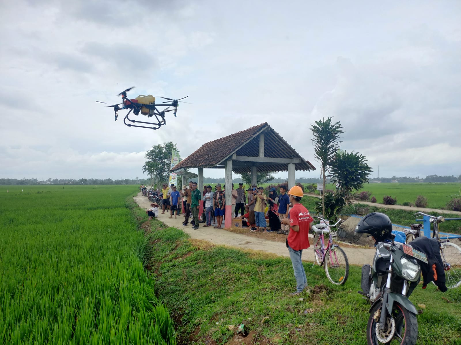 Petani di Desa Sidasari, Cilacap Semprot Pestisida Menggunakan Drone