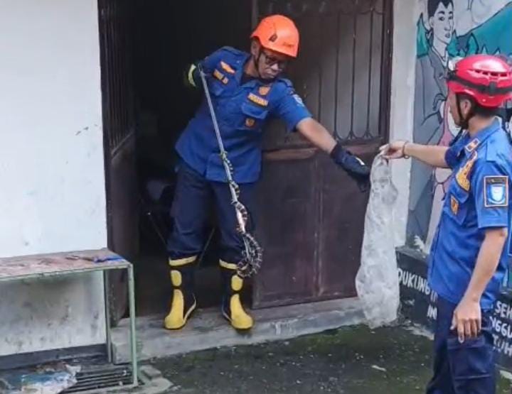 Ular Welang Neurotoksin Diamankan Damkar dari Kantin Dindikbud Purbalingga