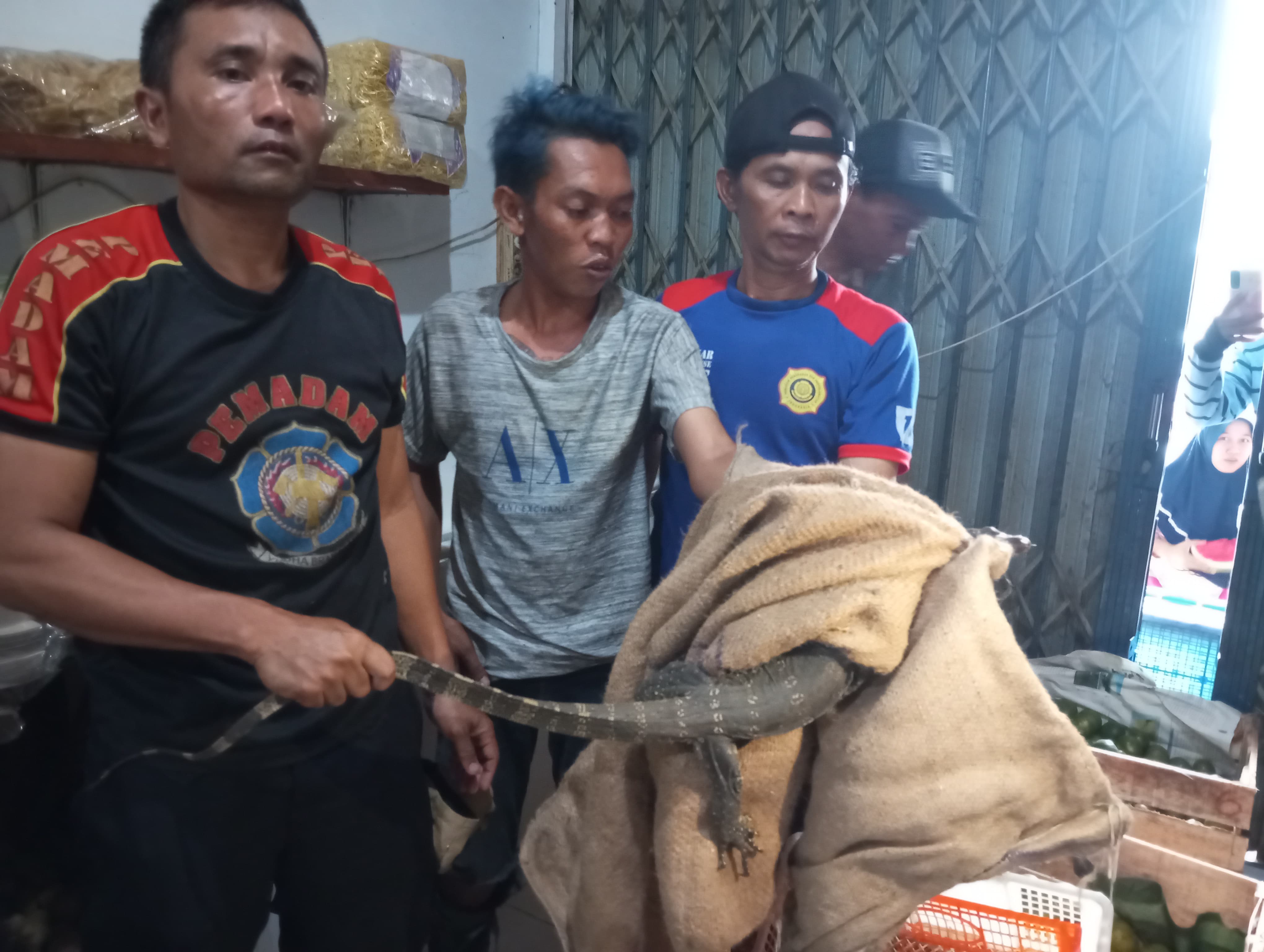 Biawak Berukuran Besar Masuk ke Toko Sembako di Jalan Rinjani Cilacap Bikin Pemilik Toko Panik