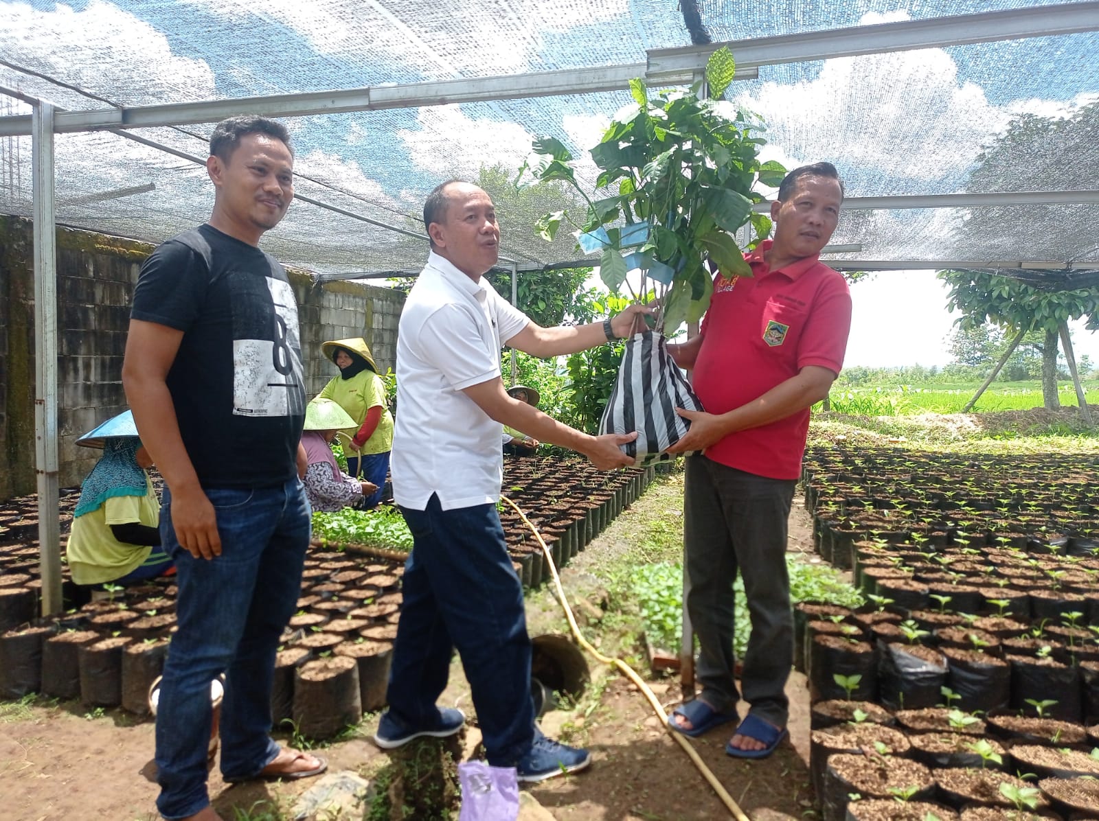 Sentra Pembibitan, Kades Dawuhan Kulon Minta Dukungan Pemkab