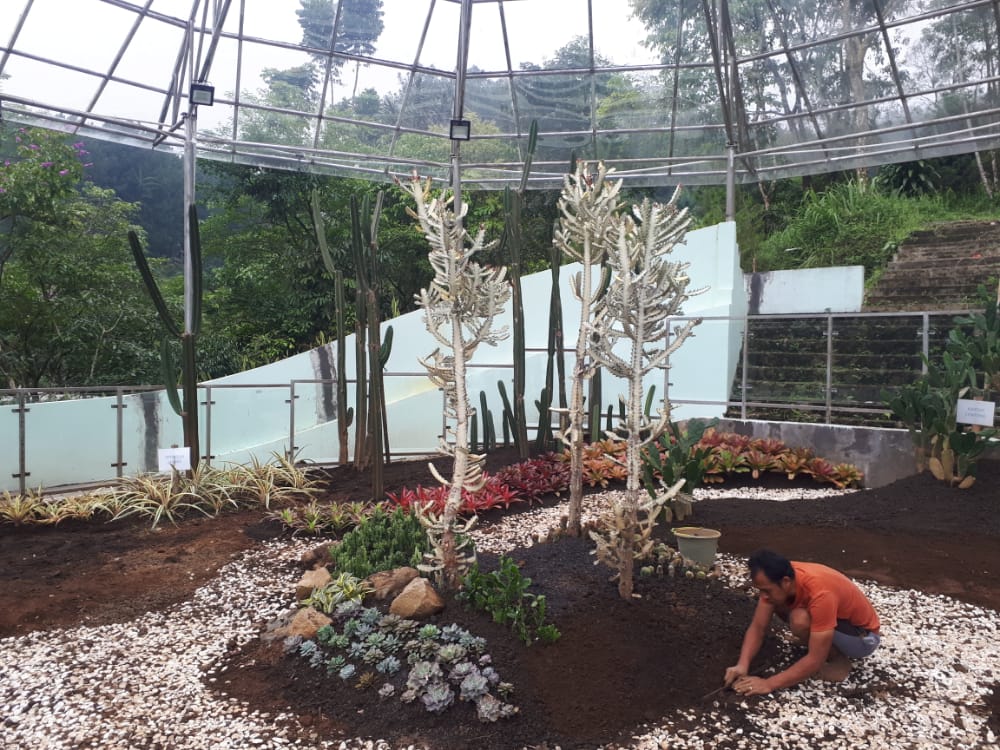 Pemkab Siapkan Taman Botani di Baturraden untuk Libur Akhir Tahun 2022