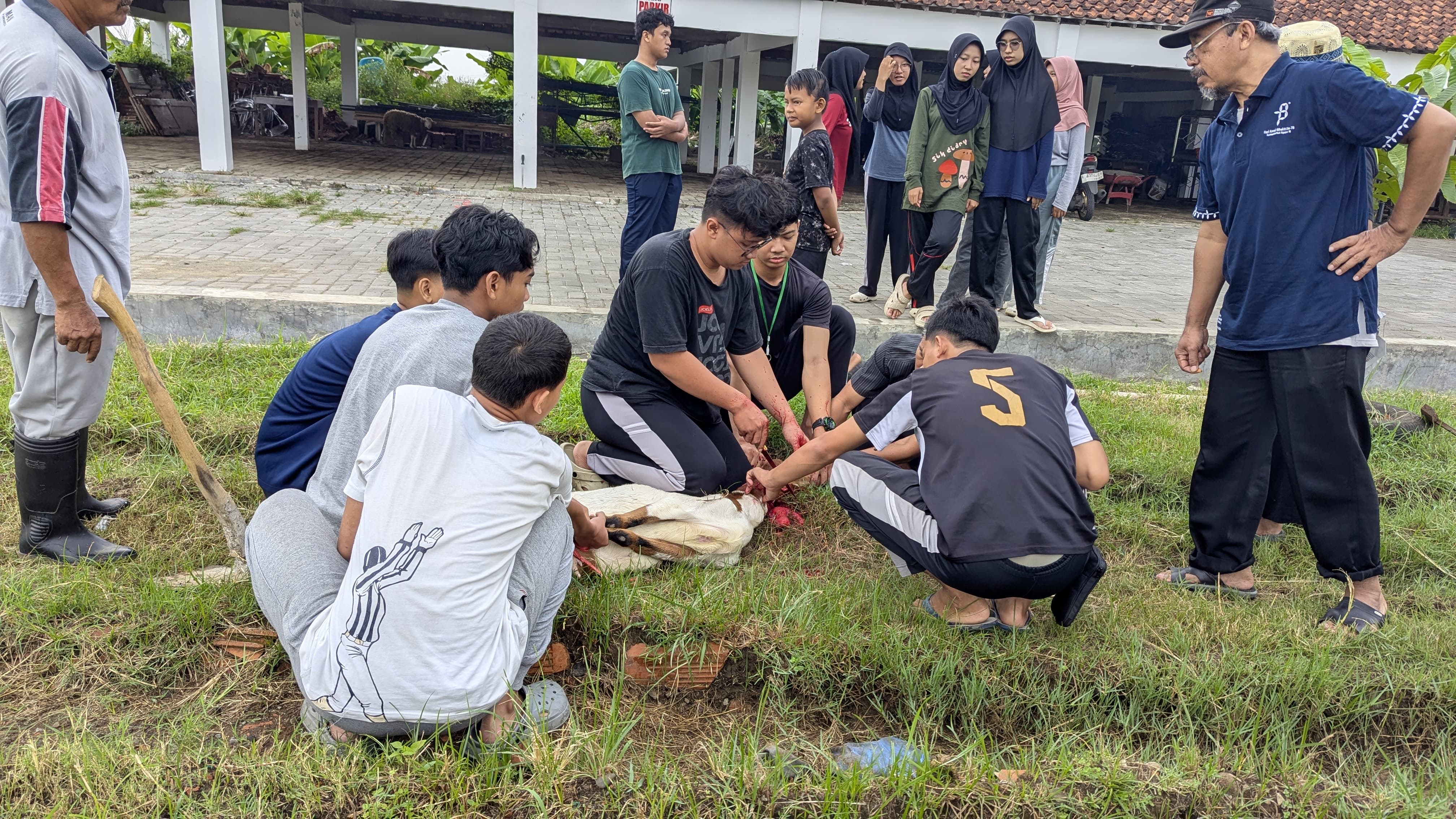 MAN 2 Banyumas Latih Murid Praktik Penyembelihan Hewan Kurban  