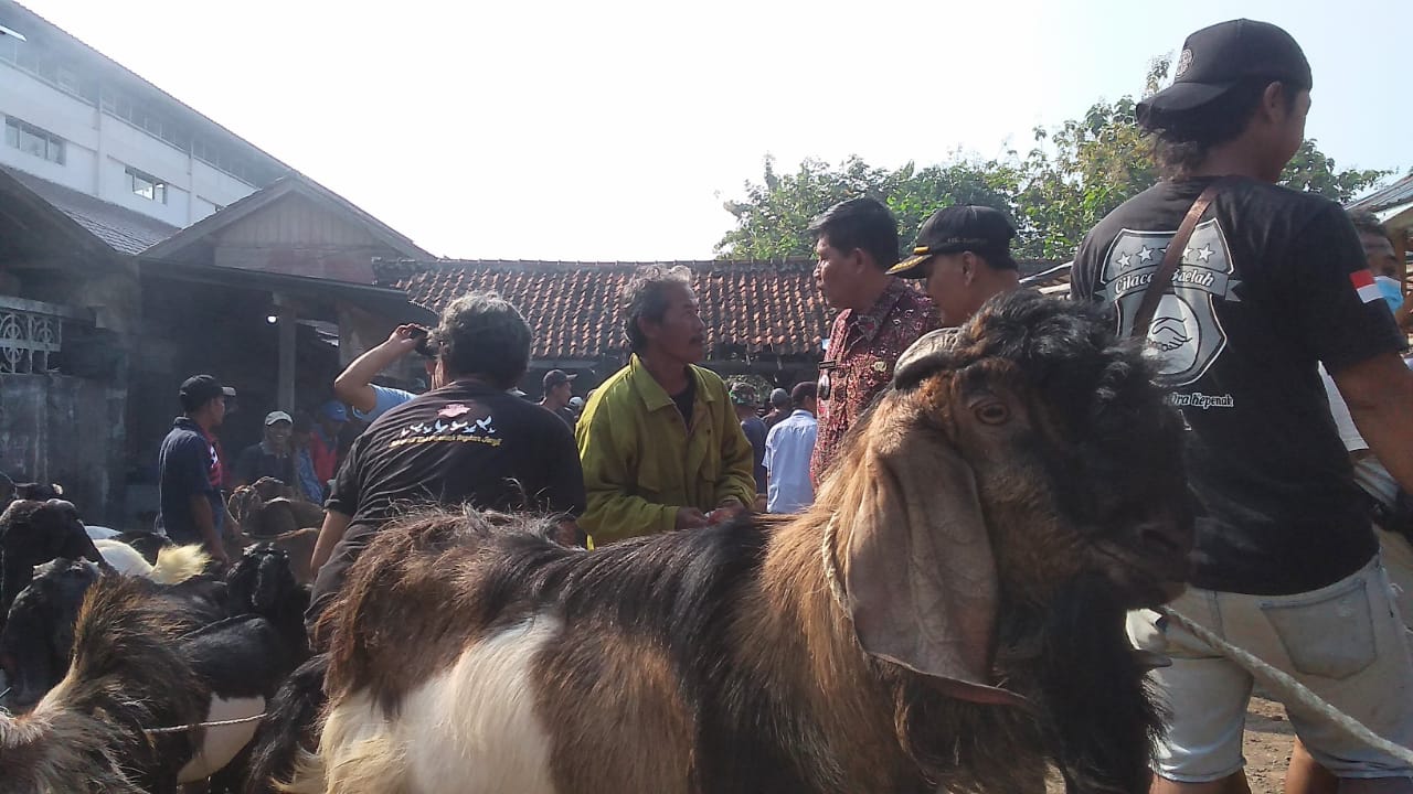 Permintaan Kambing Kurban di Banyumas Turun Drastis