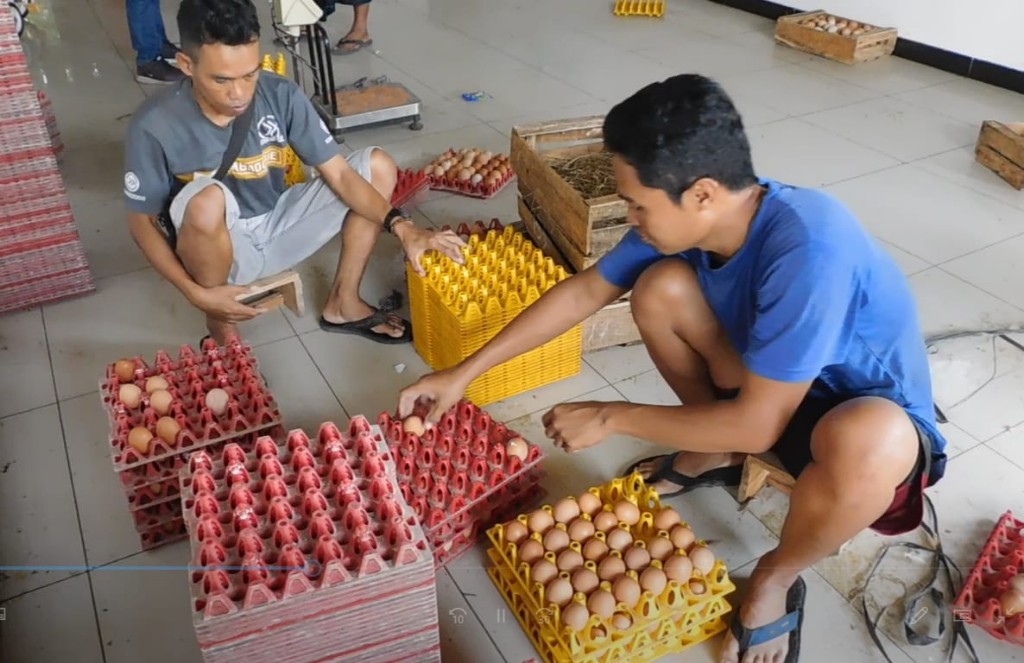 Di Purbalingga Harga Telur Ayam Tembus Rp 31 Ribu Per Kilogram, Naik Mulai Pertengahan Agustus Lalu