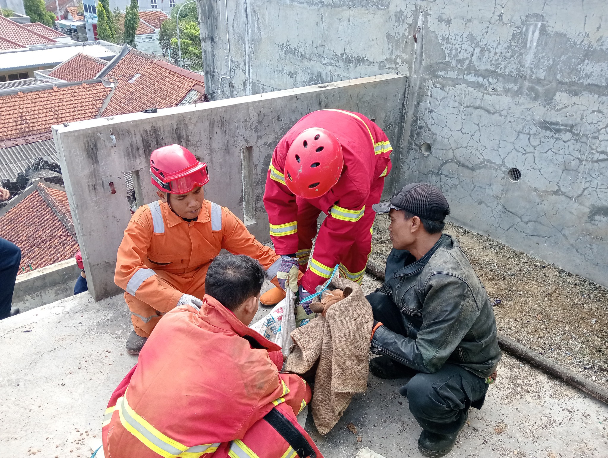 Tangani Anjing Liar, 1 Petugas BPBD Kebumen Terluka