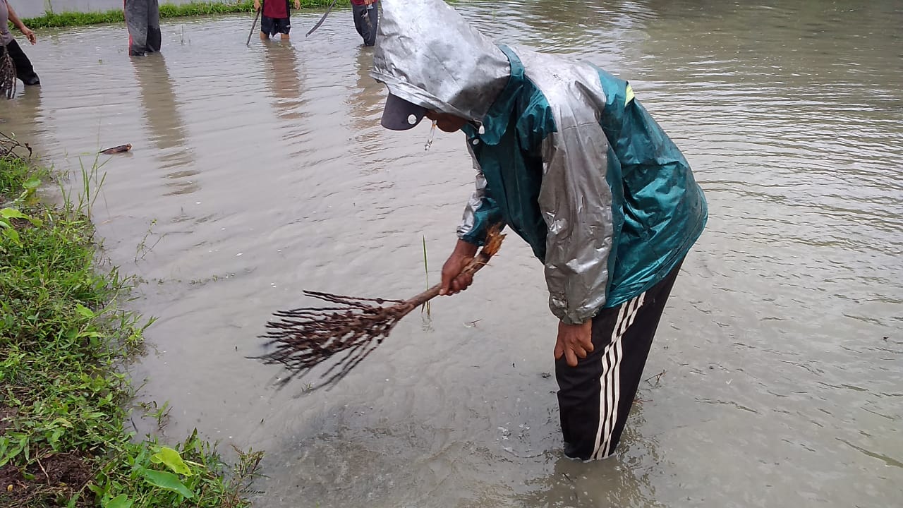 POPT Wilayah Banyumas Timur Dorong Desa Alokasikan Anggaran Penanggulangan Hama