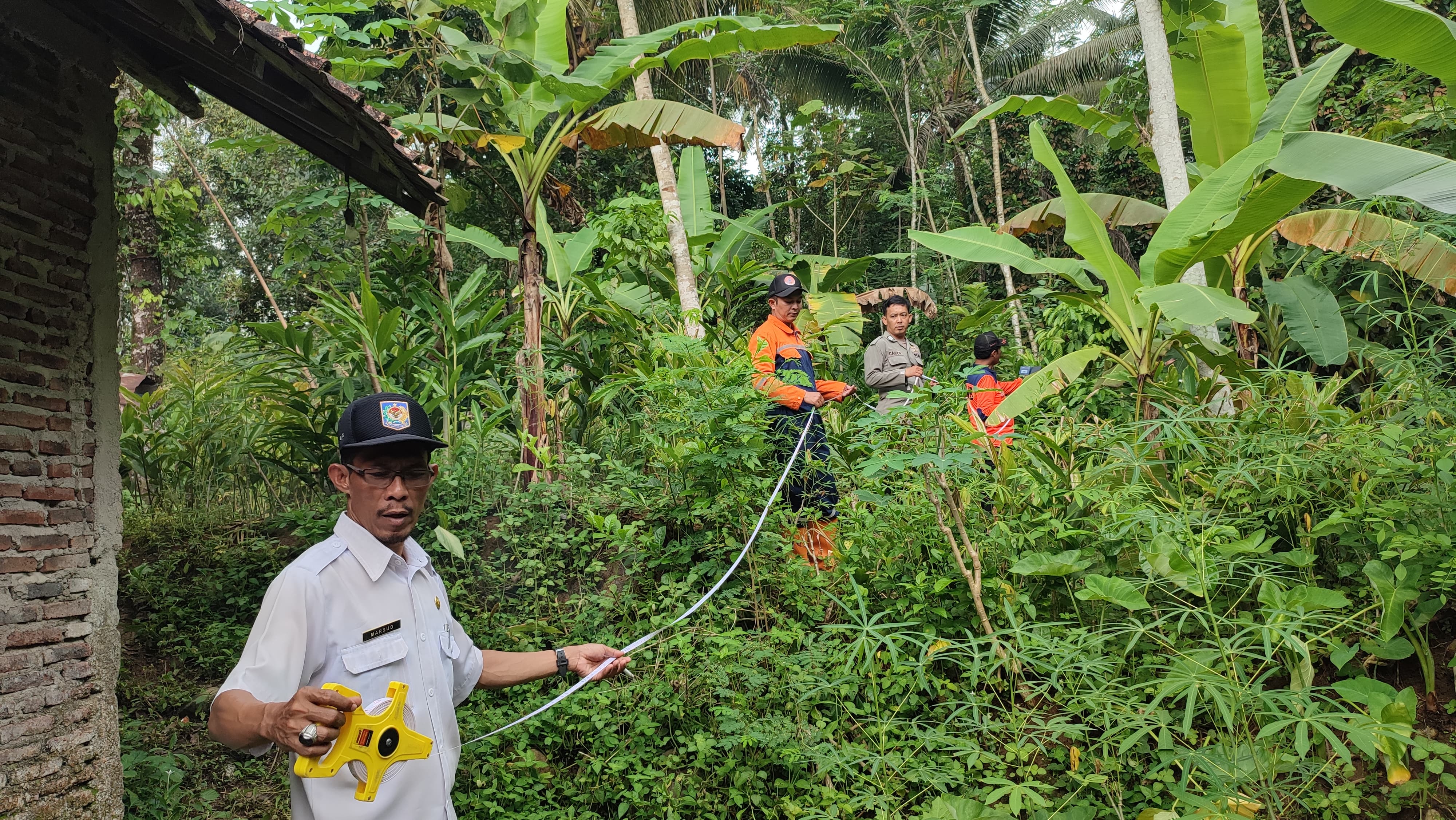 Bencana Tanah Bergerak di Rembang, Ladang Milik Warga Rusak dan Pohon Besar Tumbang