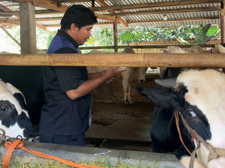 Cegah Penyebaran Penyakit Ternak, DPPP Purbalingga Gencarkan Vaksinasi