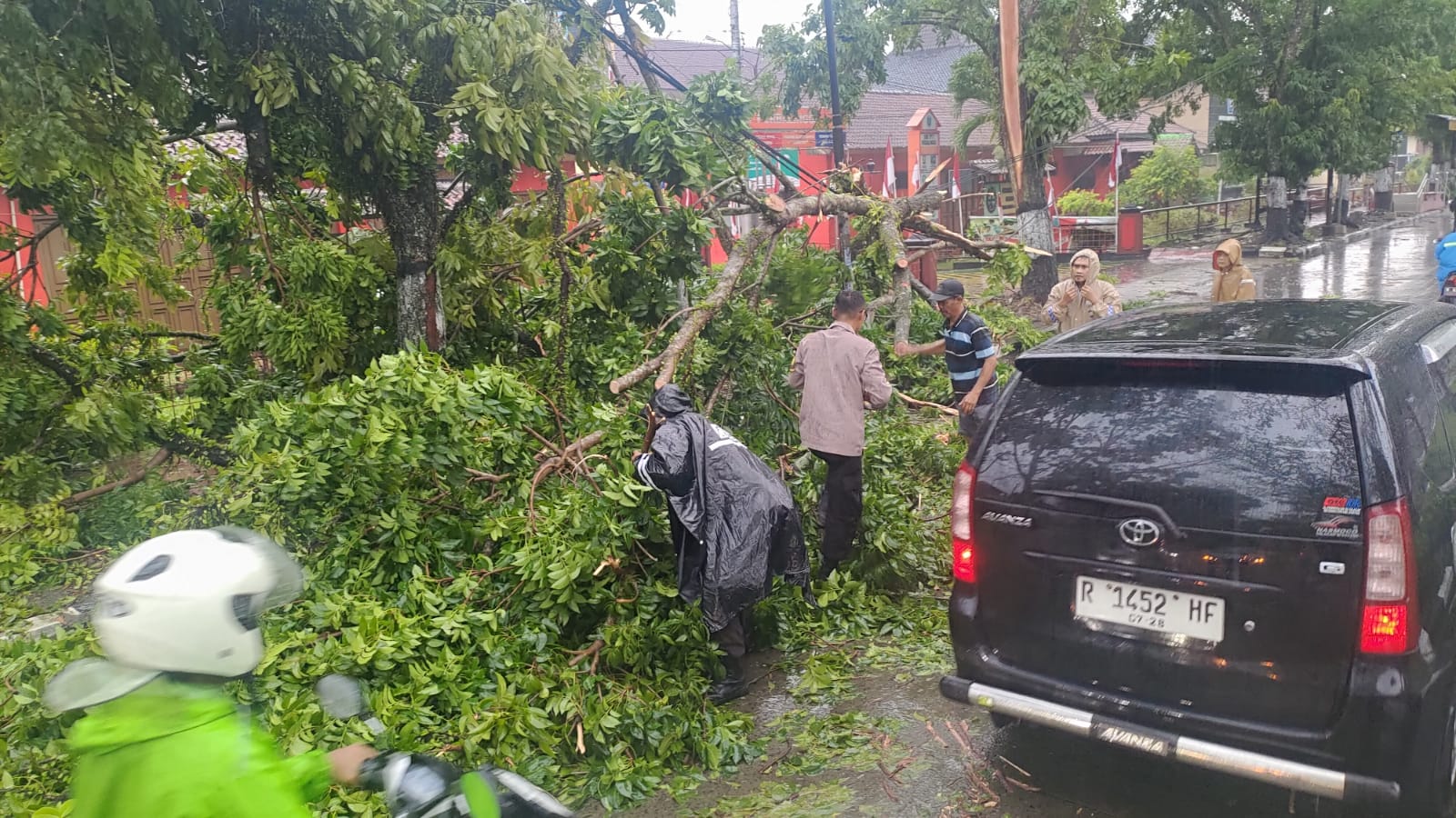 Hujan Deras, Pohon Peneduh Jalan Tumbang Menutup Jalan