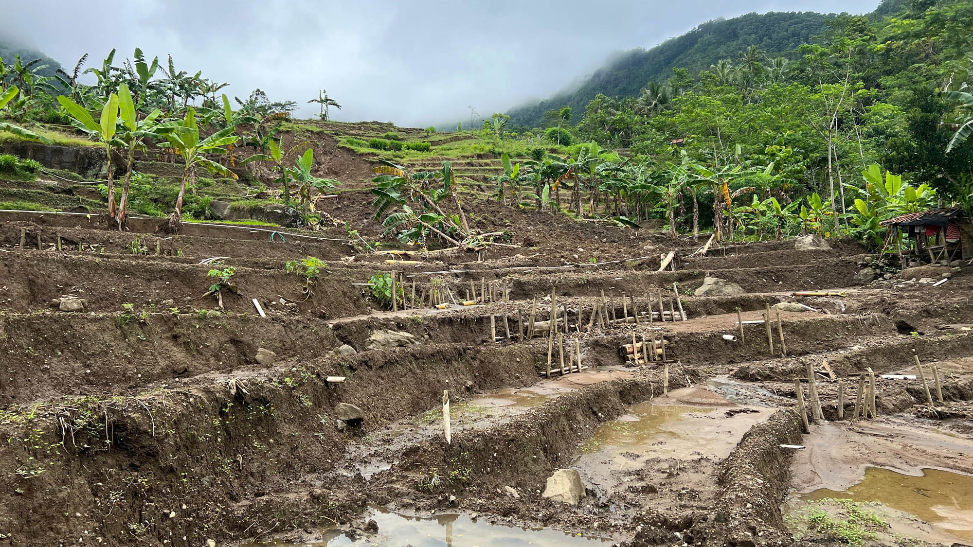 Tanah Bergerak Matikan Aktivitas Pertanian Warga Sempor