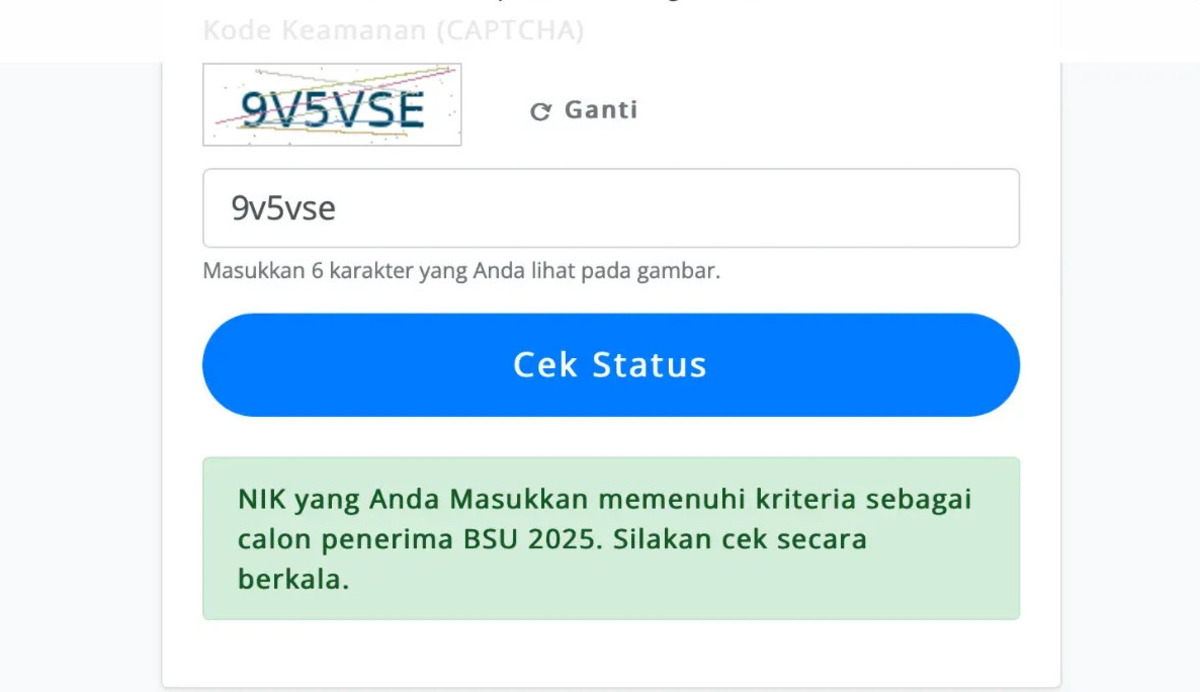 Intip 3 Opsi Cara Cek BSU Kemnaker 2025 Lewat Handphone, Bisa Pakai Website dan Aplikasi Tambahan