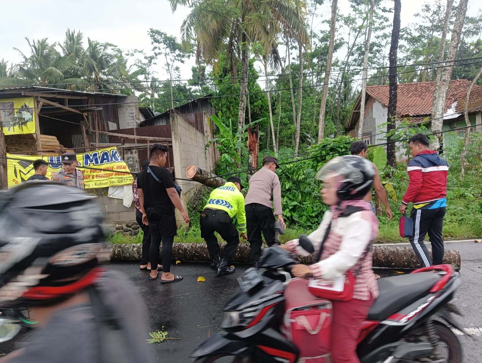 Hujan Disertai Angin di Kutasari, Dua Pohon Tumbang Tutup Jalan