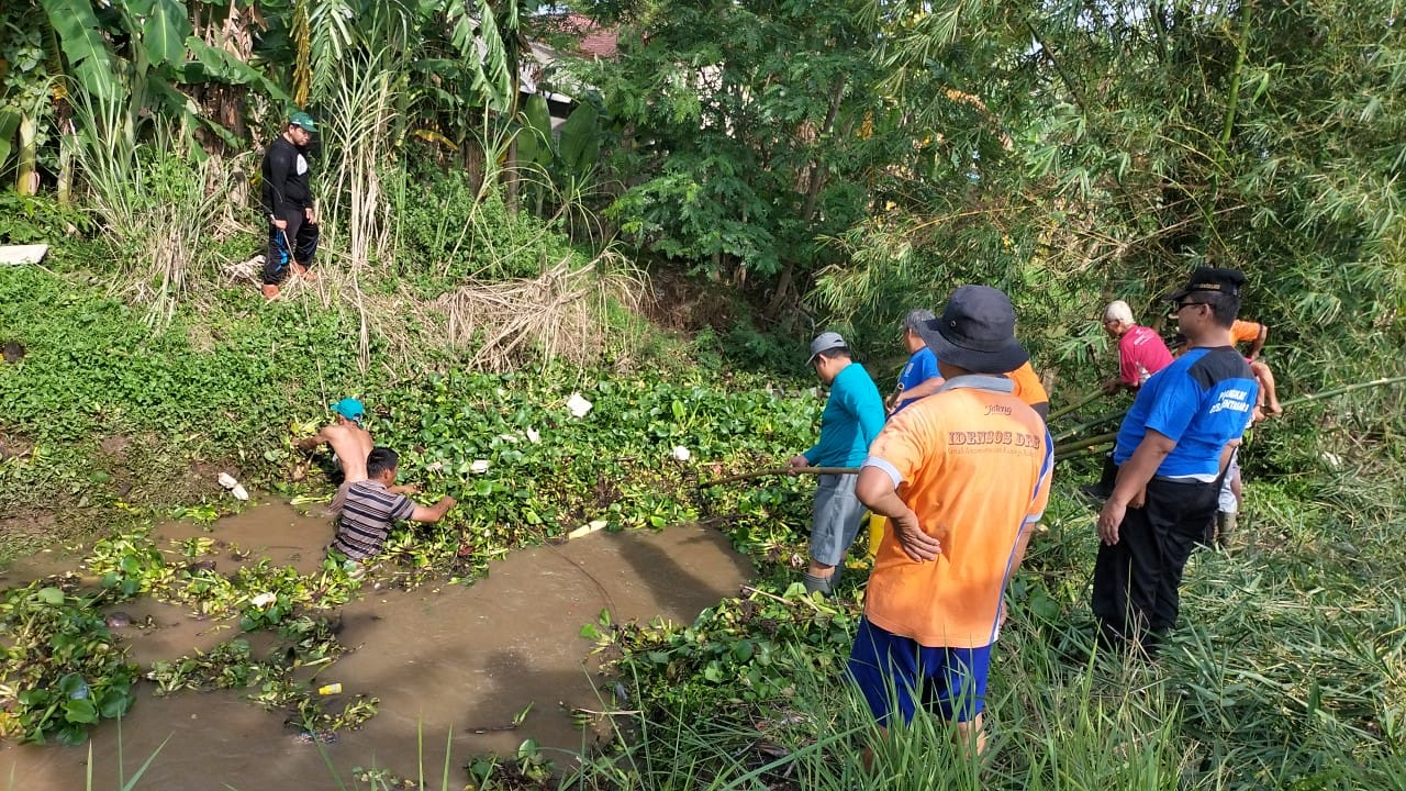 Tanaman Eceng Gondok Menumpuk, Warga Bersih-Bersih Sungai Kedung Pasung, Cilacap